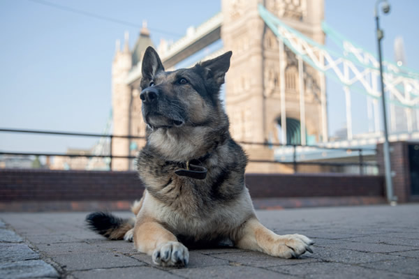 RPD Ruby with Tower Bridge in the background