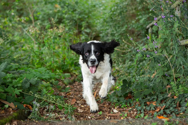 RPD Billy running outside