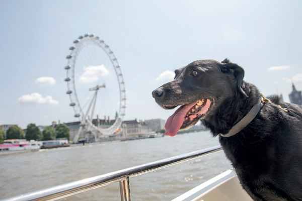 RPD Marlowe on a boat on The River Thames with The London Eye in the background