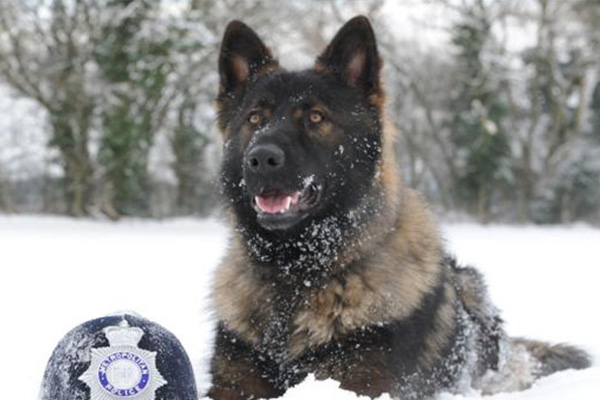 RPD Seve sitting next to a police helmet in a snowy field