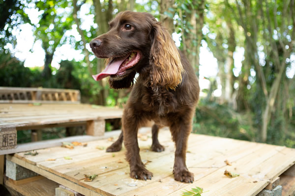 RPD Winnie standing on wooden pallets