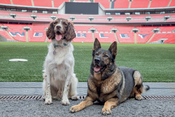 RPD Hope and RPD Radar next to the pitch at Wembly Stadium