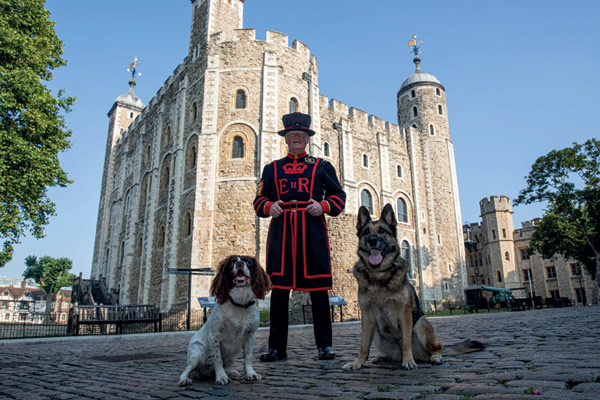 RPD Zola (a German Shepherd) and RPD Reggie (Springer Spaniel) with a Yeoman Warder (Beefeater) in front of The Tower of London