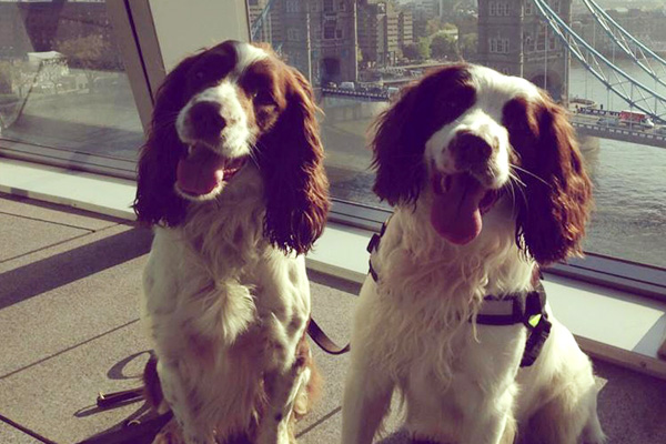 RPD Billy and RPD Chester in front a a window overlooking Tower Bridge