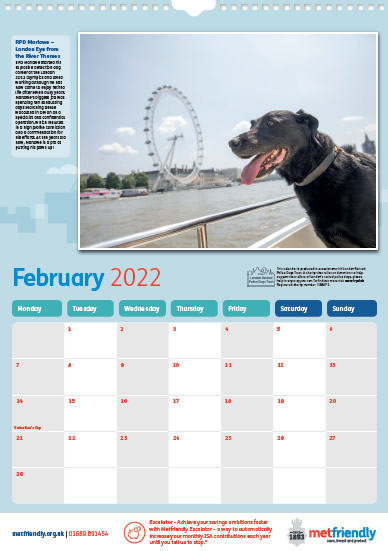 2022 Calendar Met Friendly