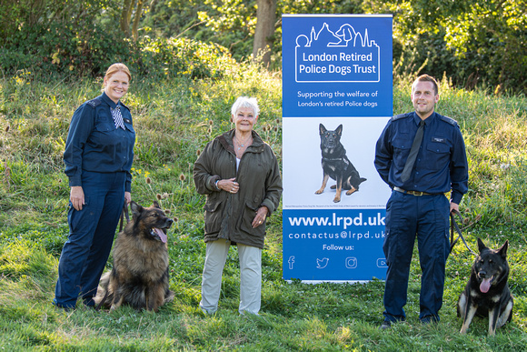 RPD Tanyon and RPD Obi, and their handlers in police uniform, with Dame Judi Dench